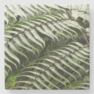 Fern Fronts II Mörk grönt natur Underlägg Sten