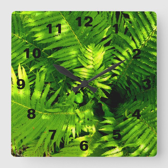 Fern Fyrkantig Klocka (Framsida)