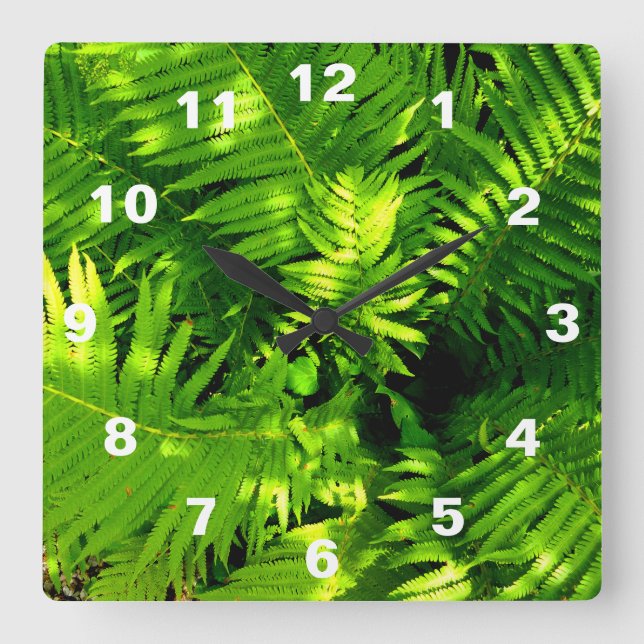 Fern Fyrkantig Klocka (Framsida)