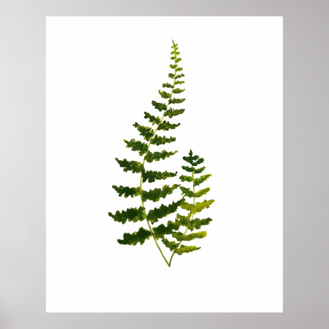 Fern Grönt Löv Botanical Watercolor Nature Poster (Framsidan)