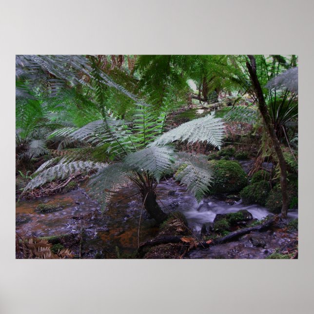 Fern gully poster (Framsidan)