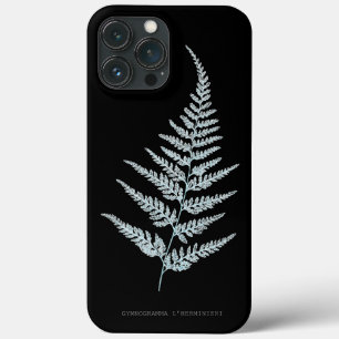 Fern - Gymnogramma L'herminieri. Röntgeneffekt - 0