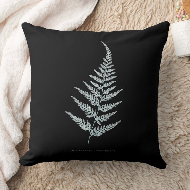 Fern - Gymnogramma L'herminieri. Röntgeneffekt - 0 Kudde (Filt)