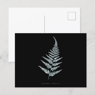 Fern - Gymnogramma L'herminieri. Röntgeneffekt - 0 Vykort