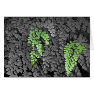 Fern Hälsningskort