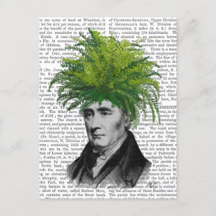 Fern Head Plant Head Vykort