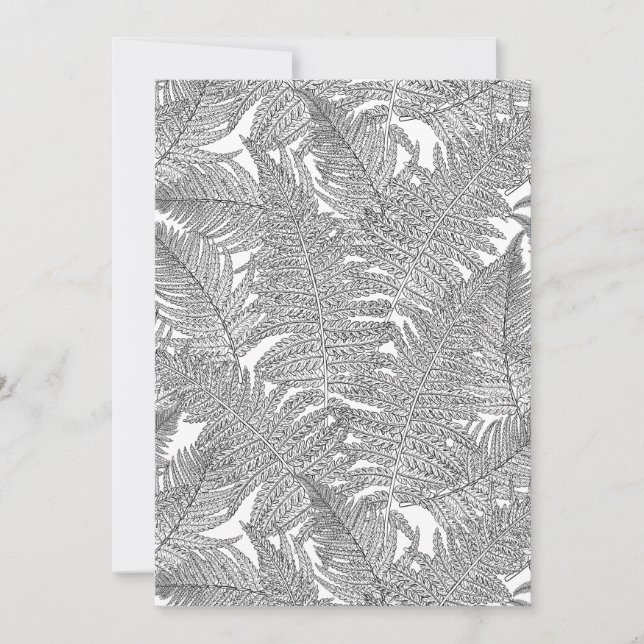 Fern i svartvitt (Framsida)