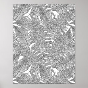 Fern i svartvitt poster