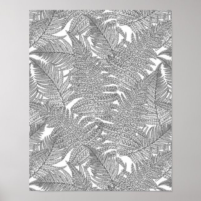 Fern i svartvitt poster (Framsidan)