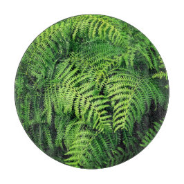 Fern lövs