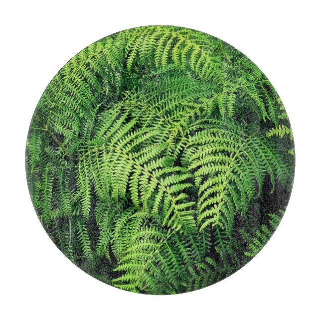 Fern lövs (Framsidan)