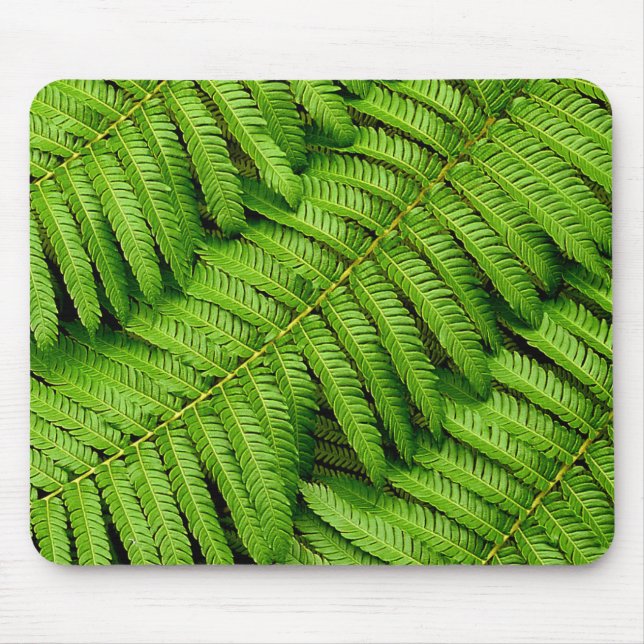 Fern Lövs Musmatta (Framsidan)