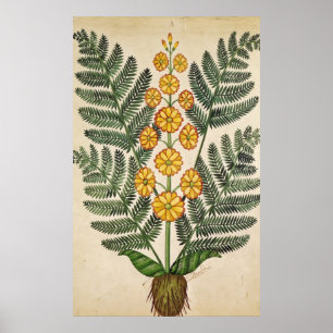 Fern med gula blommor poster