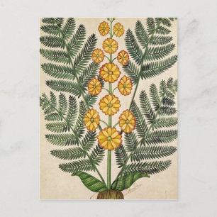 Fern med gula blommor vykort