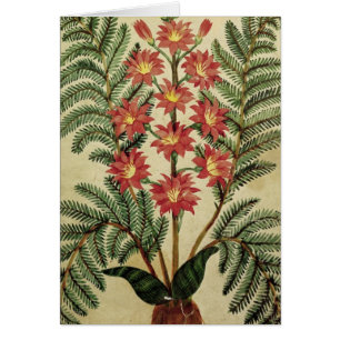 Fern med rött och gula blommor hälsningskort