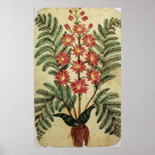 Fern med rött och gula blommor poster