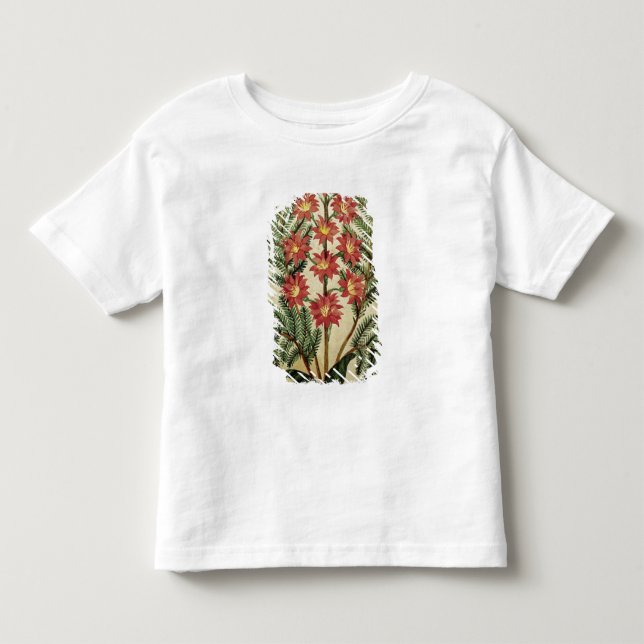 Fern med rött och gula blommor tröja (Framsida)