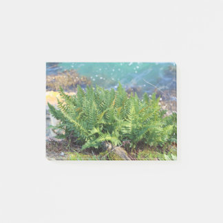 Fern nära havet post-it block