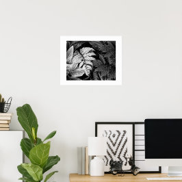 Fern och lövrik lövverk svart och vitt poster
