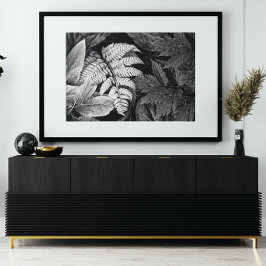 Fern och lövverk svart och vitt fototryck