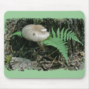 Fern och svamp vid statisk koordinering av objekt musmatta