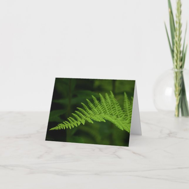 Fern P6597-kort Kort (Framsida)