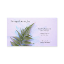 Fern på blå penseldrag