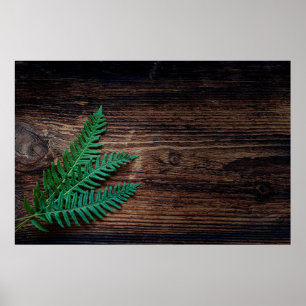 Fern plant wood small fern grunge poster