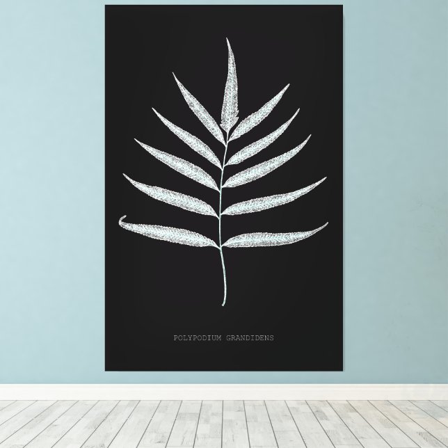 Fern - Polypodyum Grandidens - röntgeneffekt - 10 Canvastryck (Insitu (trägolv))