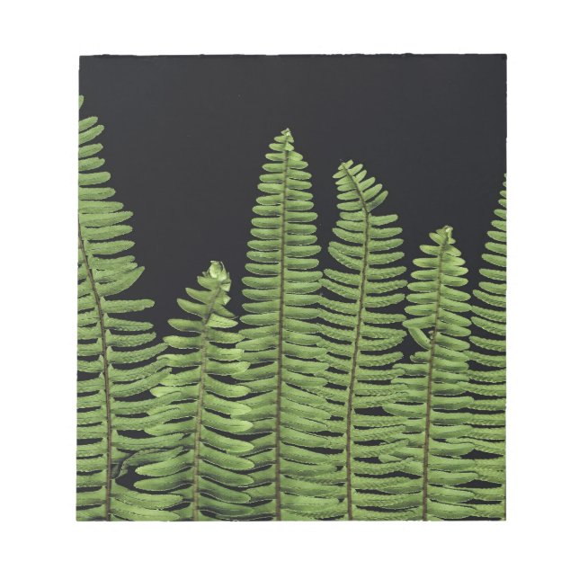 Fern Row Anteckningsblock (Framsida)