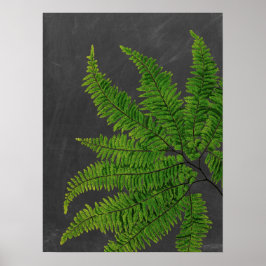 Fern Sign w/ Chalkboard Background no 5 Poster