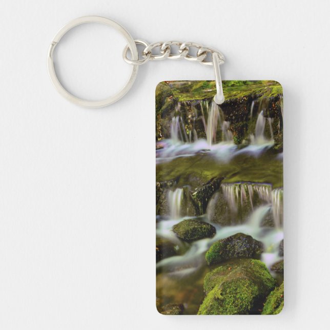 Fern Spring, Yosemite National Park, Kalifornien (Framsidan)