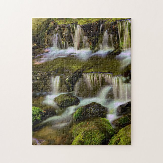 Fern Spring, Yosemite National Park, Kalifornien Pussel (Vertikal)