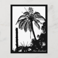 Fern Träd Forest, Silver Fern, naturen Nya Zeeland