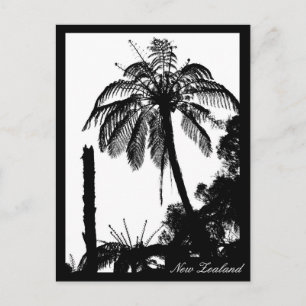 Fern Träd Forest, Silver Fern, naturen Nya Zeeland Vykort