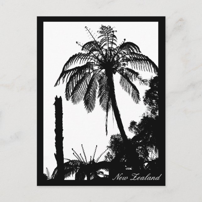 Fern Träd Forest, Silver Fern, naturen Nya Zeeland Vykort (Framsida)