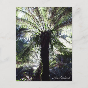 Fern Träd, Nya Zeeland, native Nature Vykort