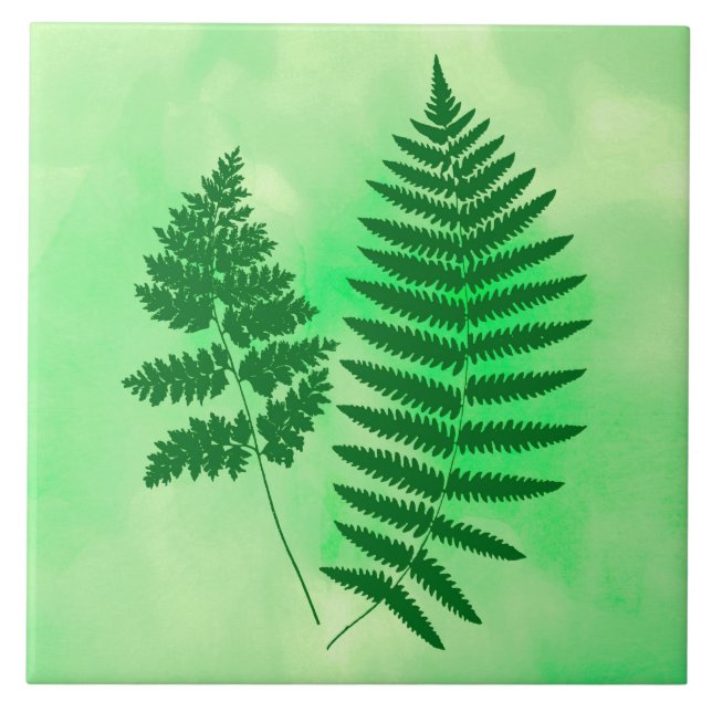 Fernerfronter, Grönt på vattenfärgsbakgrund Kakelplatta (Framsidan)