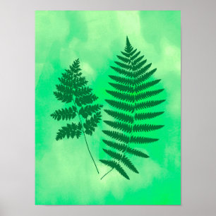 Fernerfronter, Grönt på vattenfärgsbakgrund Poster