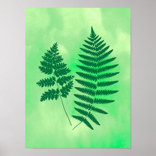 Fernerfronter, Grönt på vattenfärgsbakgrund Poster (Framsidan)