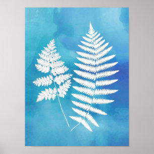 Fernerfronter, vit på blå vattenfärgsbakgrund poster