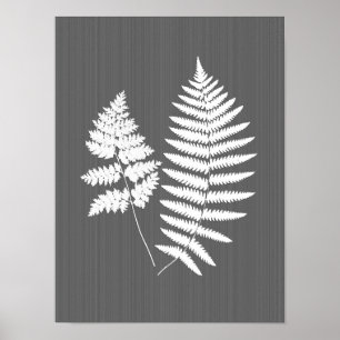 Fernerfronter, vit på träkol-Grått / Grått Poster