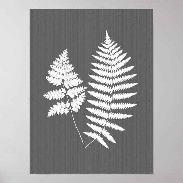 Fernerfronter, vit på träkol-Grått / Grått Poster (Framsidan)