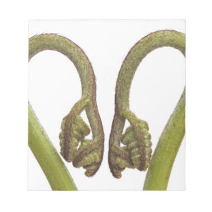 Ferngroddar 2 anteckningsblock