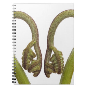 Ferngroddar 2 anteckningsbok med spiral