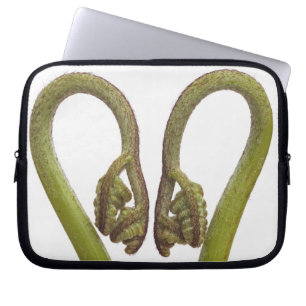 Ferngroddar 2 laptop sleeve
