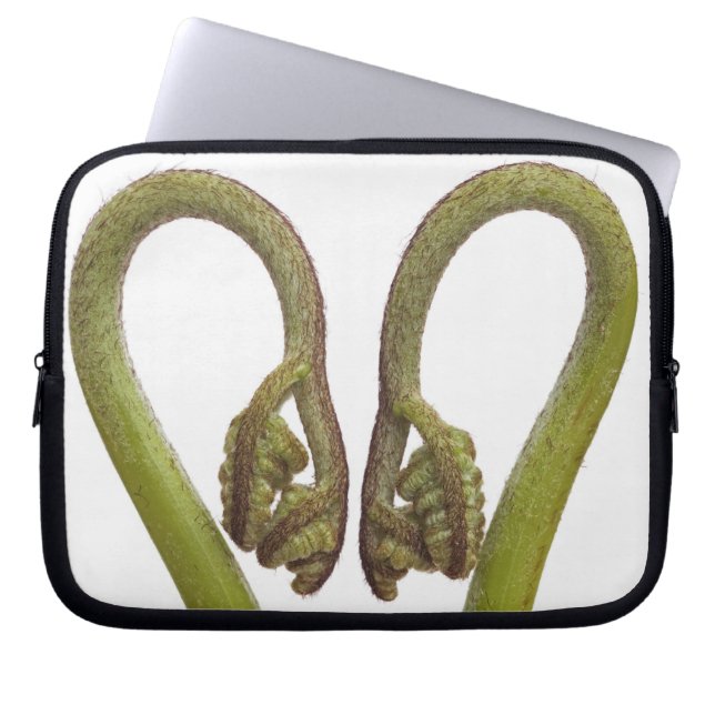 Ferngroddar 2 laptop sleeve (Framsidan)