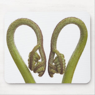 Ferngroddar 2 musmatta