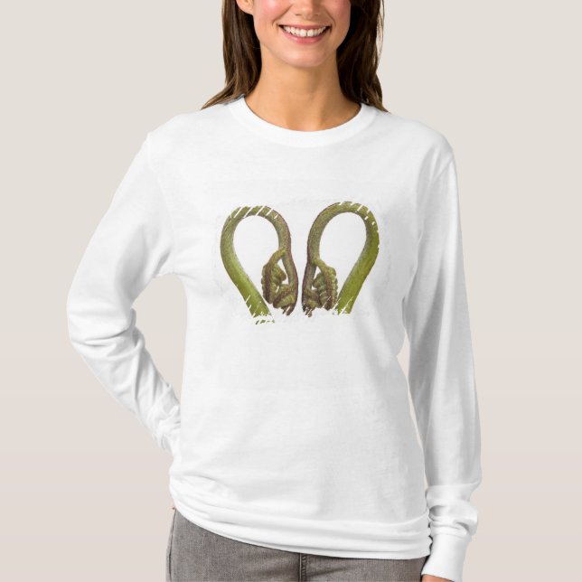 Ferngroddar 2 t-shirt (Framsida)