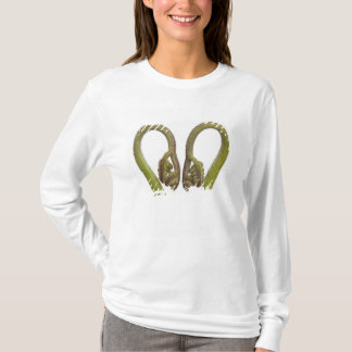 Ferngroddar 2 tee